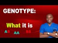 Genotype Compatibility and Sickle Cell