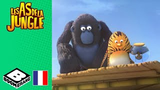 Chute libre | Les As de la Jungle | @boomerangFR