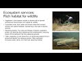 Riparian Ecosystems and Their Importance