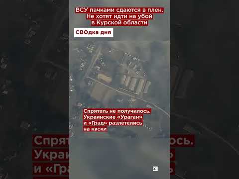 ВСУ пачками сдаются в плен. Не хотят идти на убой в Курской области