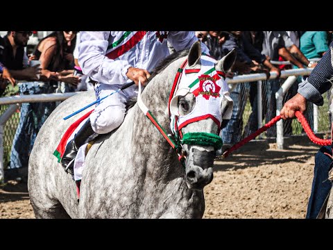 El Pobre C. LA ESPERANZA VS El Elegido C. EL TEXANO | Rancho El Texano, Cadereyta Nuevo León.