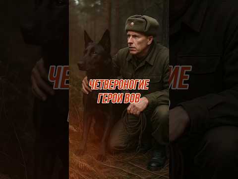 Они не носили погон, не писали рапортов — но сражались за Родину #shorts #вов