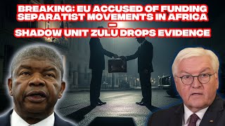 BREAKING: EU Accused of Funding Separatist Movements in Africa — Shadow Unit Zulu Drops Evidence