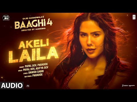 Baaghi