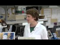 Tick Prevention and Awareness