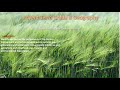 Human Environment Systems Concepts