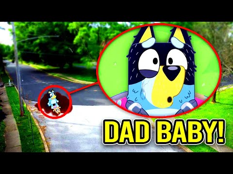 IF YOU SEE BANDIT GIVING BIRTH TO BLUEY IN REAL LIFE, RUN!! (DAD BABY)