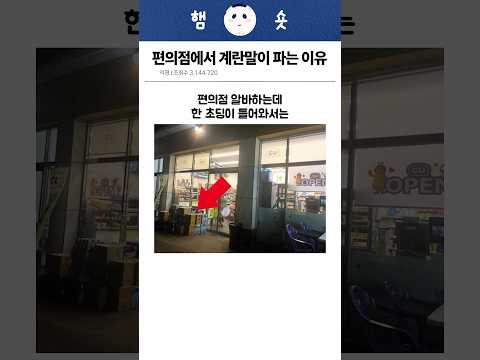 편의점에서 계란말이 파는 이유