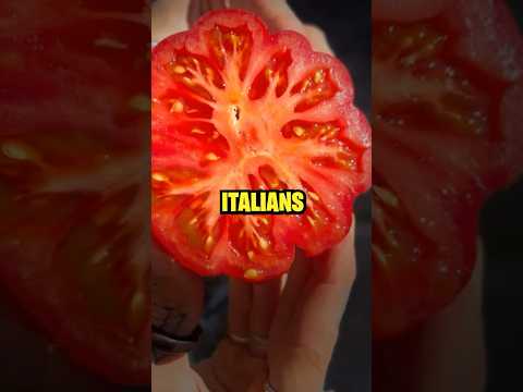 Why Italians didn’t like tomato’s! 🍅 🇮🇹