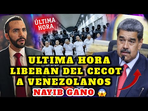 BOMBAZO ULTIMA HORA NAYIB BUKELE LIBERA A VENEZOLANOS DEL CECOT POR ESTA RAZON SALIO GANANDO