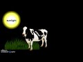 Cellular Respiration and Photosynthesis Concepts