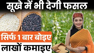 तिल की खेती का पूरा तरीका | किसानों के लिए बेस्ट बिज़नेस आइडिया | आसान खेती, बड़ा मुनाफा