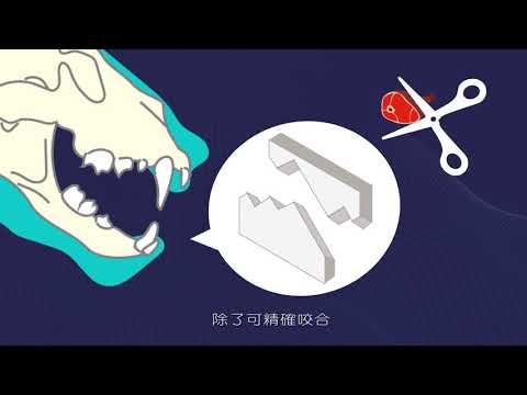 牙齒大不同 - YouTube(1分38秒)