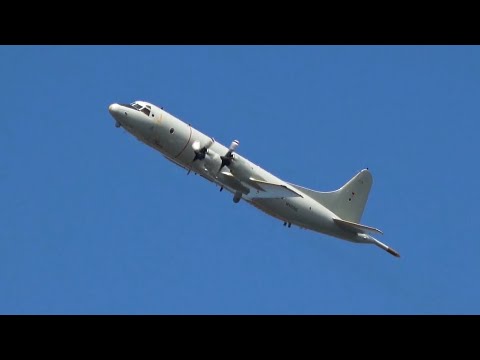 Tag der Bundeswehr 2025 | Spektakulärer Überflug Seefernaufklärer P-3C Orion im Stralsunder Hafen