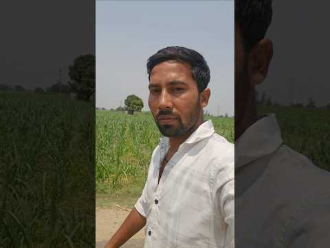 Padal padal hi #minivlog #vlog #shorts #youtubeshorts #trending