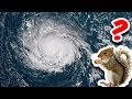 비디오 튜토리얼 퀴즈