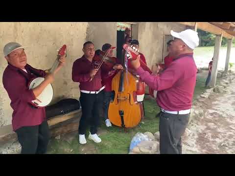 Mi Carrito Conjunto Hermanos Vasquez