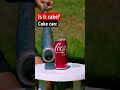 Understanding the Video Transcript