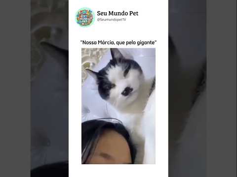 E só piora 😂 #animal #br #brasil #shortsvideo #cachorro #gato #humorbrasil #animalshorts