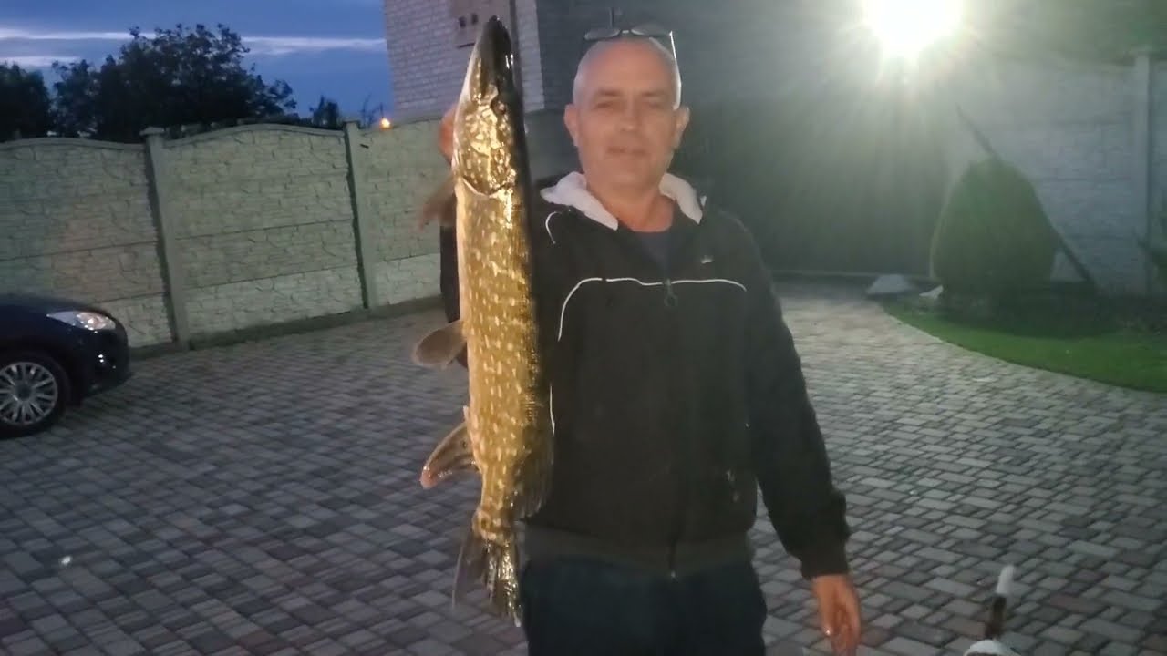 Поймал большую щуку! Продолжаю штукатурить туалеты