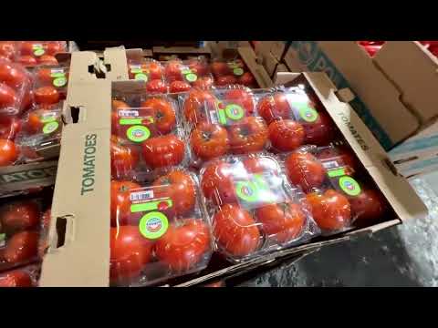 YouTube video thumbnail: US Wholesaler Says Tomatoes Will be Limited due to Tariffs