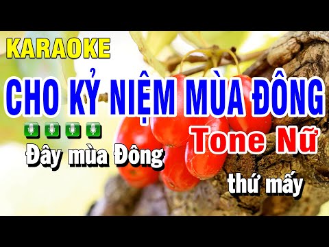 Karaoke Cho Kỷ Niệm Mùa Đông Nhạc Sống Tone Nữ | Huỳnh Anh