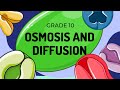 Active Transport and Membrane Functions