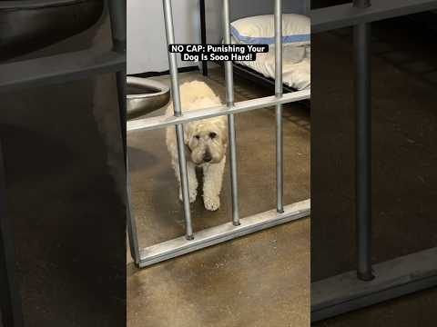 NO CAP: Punishing Your Dog Is Sooo Hard! 🐶 @TheJessiiShow #TheManniiShow.com/series