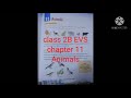 Animal Classification and Characteristics
