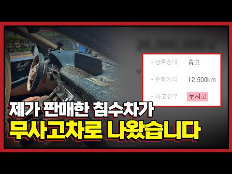 제 차 올린 딜러분 제정신이세요..?
