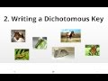 Understanding Dichotomous Keys