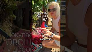 НАСТОЯЩИЙ ЮЖНЫЙ ВАЙБ 🌶️ Покупаем овощи у дороги в деревне | Жизнь на юге #голохвастовlife