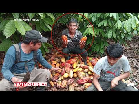 Estuvo preso por drogas y ahora, junto a Dios, produce excelente cacao