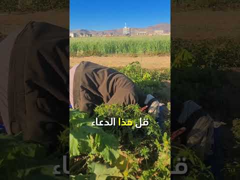 علاج 💊الشهوة... #عبدالله_محمد_التركي #طيب_الاتراك_للعطور