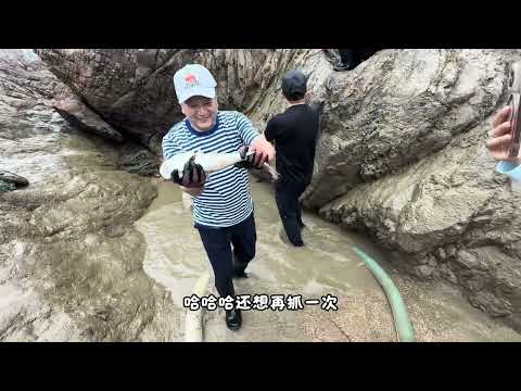 广东网友来霞浦找小明出海体验了一把现抓现煮现吃的渔民生活，大伙直呼太过瘾了