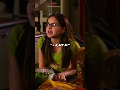 Alex Gets 'B' For The First Time || Modern Family Funny Moments || #shorts