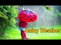 Understanding Weather Concepts and Activities