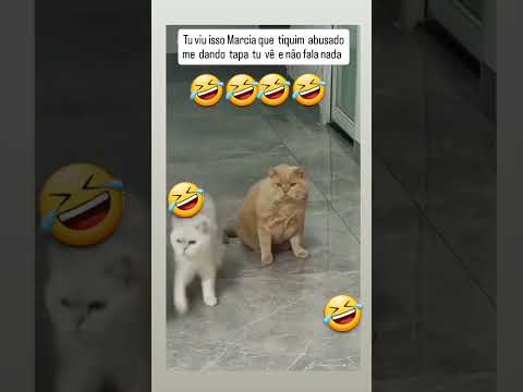 🤣🤫Deixa eu passar Ele não vai me ver