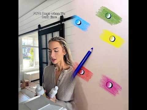 never say the B word #dogs #dogsoftiktok #dogcomedy #dogowners #relatable