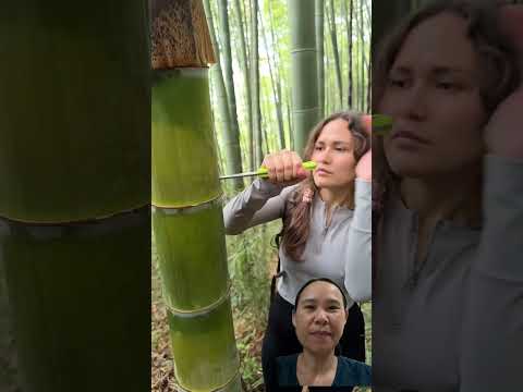 Nước thân tre #bamboo #campping #nature #wood #natur #satisfying #bushcraft #survival #lifehack