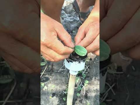 #agricultural #agriculture #farming #agro #farmlife #agricoltura  #technology #farm #food #diy