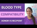 Blood Type Compatibility and Characteristics