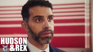 Hudson and Rex Season 2024 | Wag the Dog | Best American Police And Crime Movies