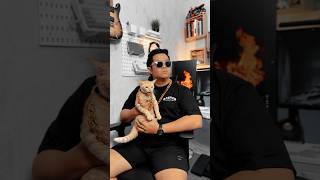 Singa keberatan kalung