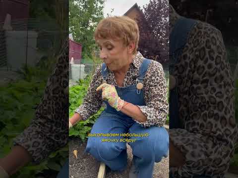 ПРОТИВ СОРНЯКА