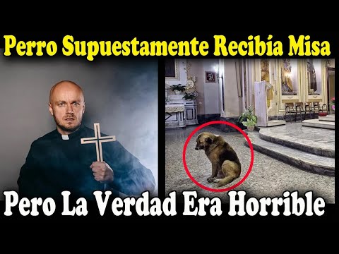 Todos Creían Que Era Lindo Ver A Un Perro Solo En La Iglesia Pero Al Conocer La Razón Quedan Helados