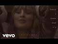Understanding the Delicate Lyrics
