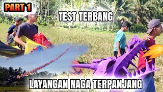 Uji Terbang Epik Layangan Naga: Keindahan, Ketinggian, dan Kreativitas! Tes Terbang Layangan DiSawah