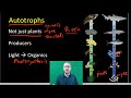 Energy Sources and Organism Roles