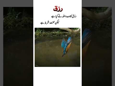 Rizq ka wagda rab na kiya ha #trendingshorts
